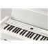 KORG C1 Air WH Piano numérique