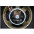 AMS Amplifiers Hurricane 40 Combo Stingray