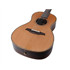 BROMO BAR6 Rocky Mountain Series parlor guitar all solid tonewoods