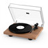 PRO-JECT Debut Carbon EVO Evo 2M Red Noyer