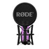 RODE NT1 Signature Purple