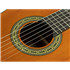 SALVADOR Nova C/BB Student Series classic guitar cedar + sapele