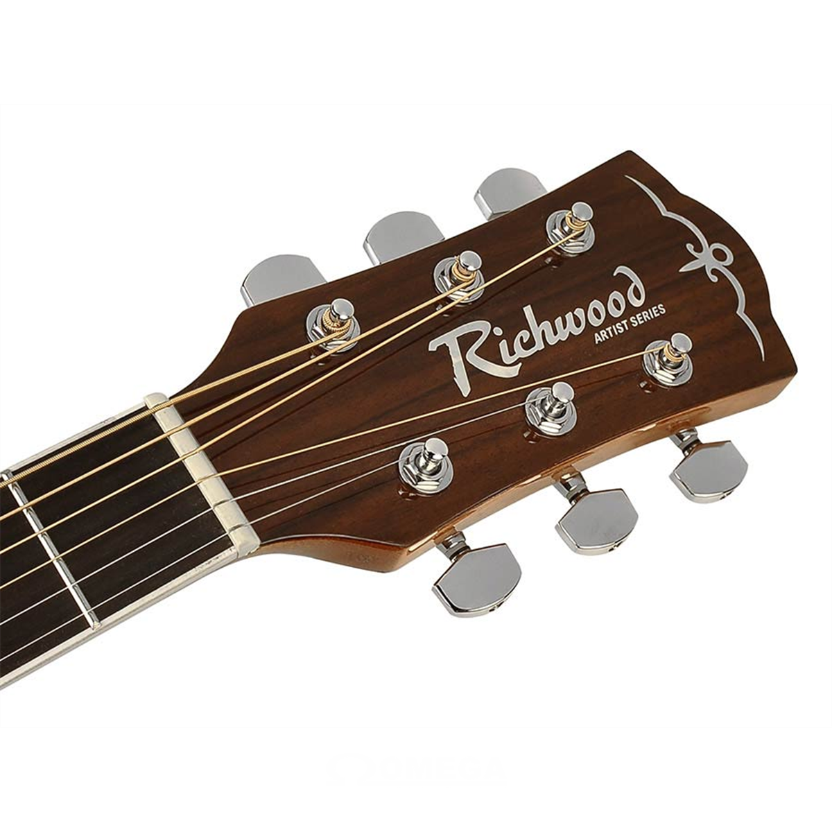 broeden Wijde selectie Vakantie Omega Music | RICHWOOD RD-17 Artist Series acoustic guitar