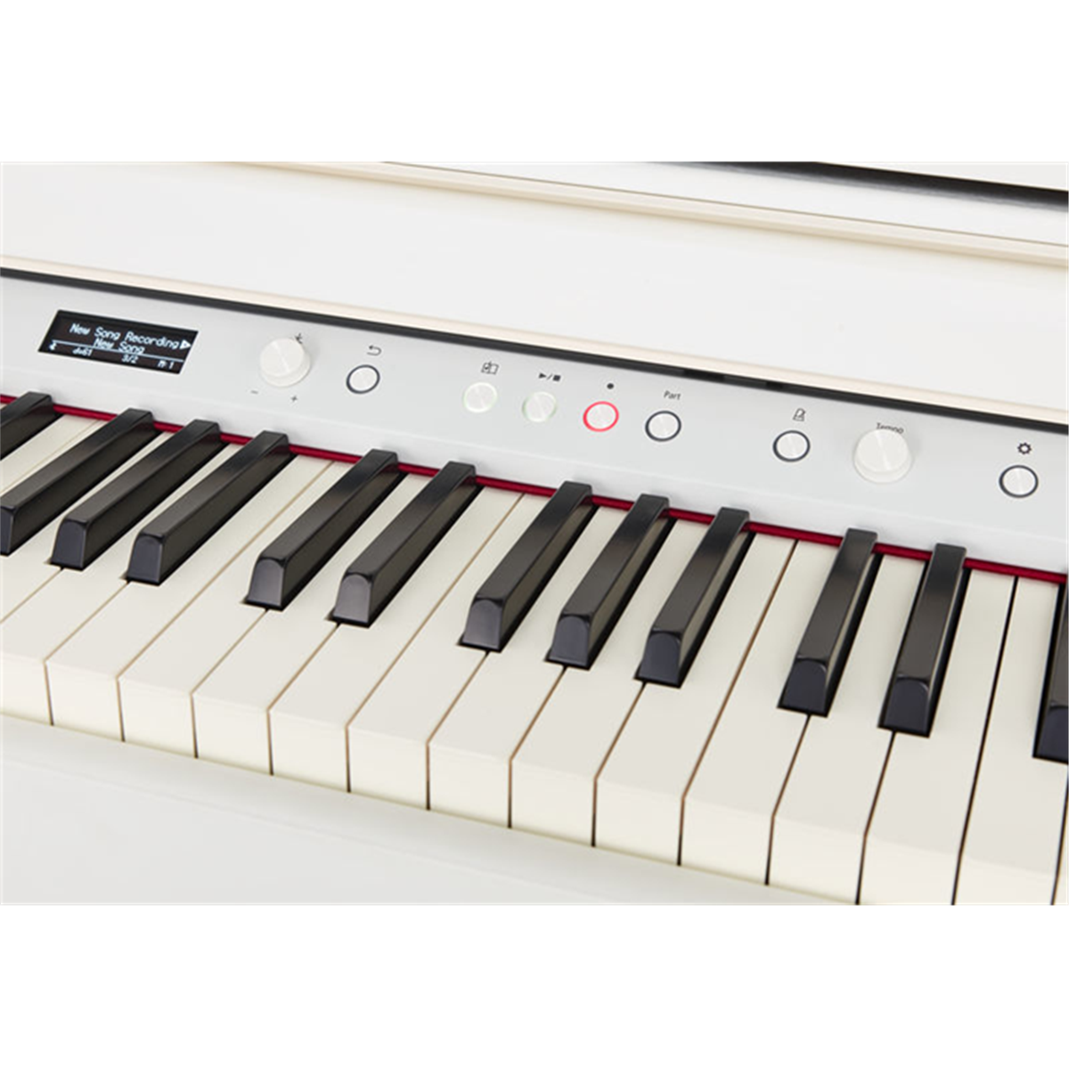 Omega Music  ROLAND HP-704 DR Piano Numerique 88 Touches